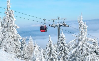 Are your knees going to stand up to your skiing holiday?