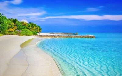 Take a Virtual Trip to the Beach