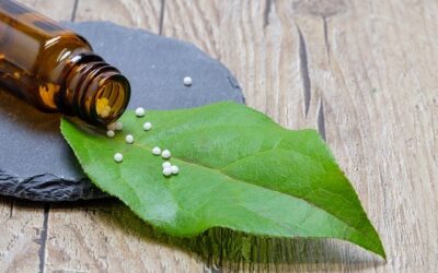 Introducing our newest therapist offering Homeopathy