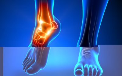 Interview with Edd & Lloyd about Biomechanicals